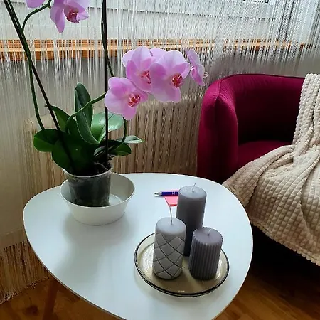 Flowerroom Con Bagno Privato * 圣莫里茨