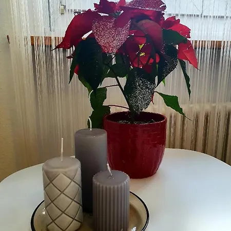 Flowerroom Con Bagno Privato Guest house *