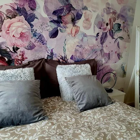 Flowerroom Con Bagno Privato * St. Moritz