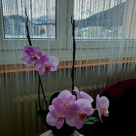 Flowerroom Con Bagno Privato St. Moritz