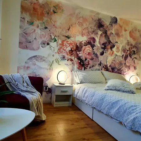 Flowerroom Con Bagno Privato 圣莫里茨