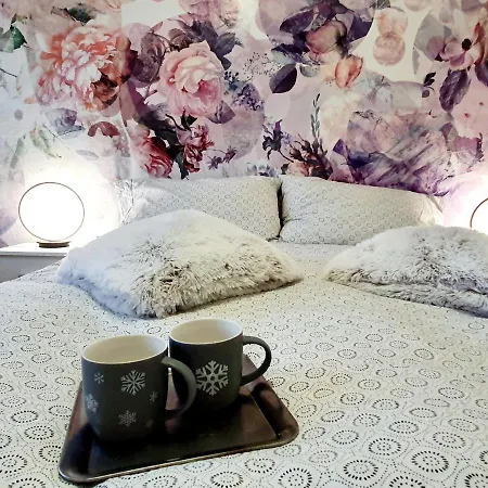 招待所 Flowerroom Con Bagno Privato *