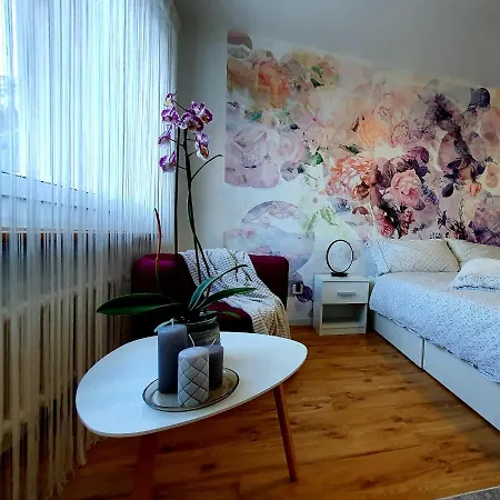 Flowerroom Con Bagno Privato * St. Moritz