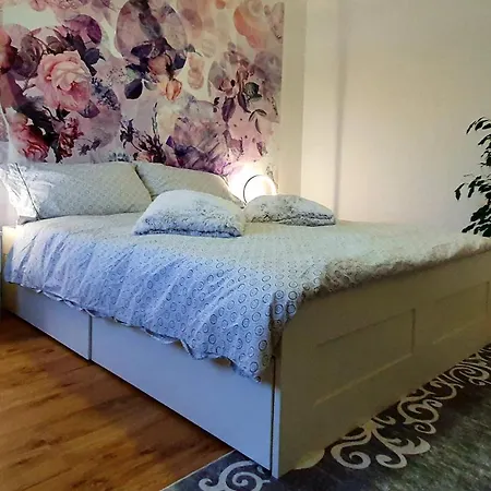 Flowerroom Con Bagno Privato St. Moritz